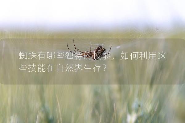 蜘蛛有哪些獨特的技能，如何利用這些技能在自然界生存？